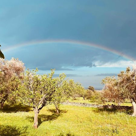 La Perla Di Torre Guaceto Villa Serranova Eksteriør bilde