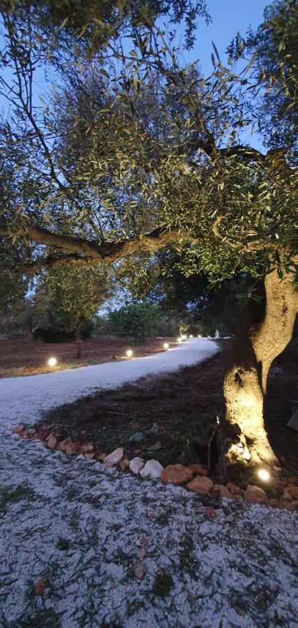 La Perla Di Torre Guaceto Villa Serranova Eksteriør bilde