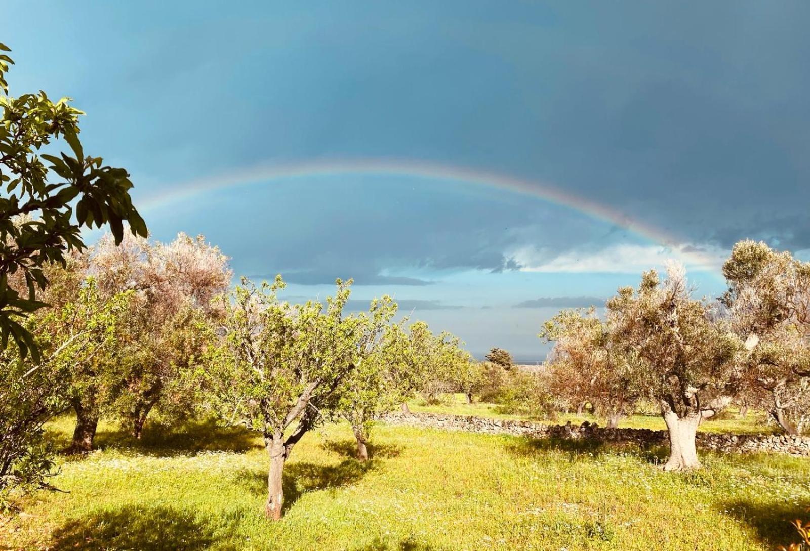 La Perla Di Torre Guaceto Villa Serranova Eksteriør bilde